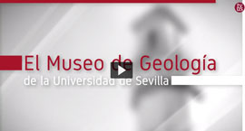 museo geologia
